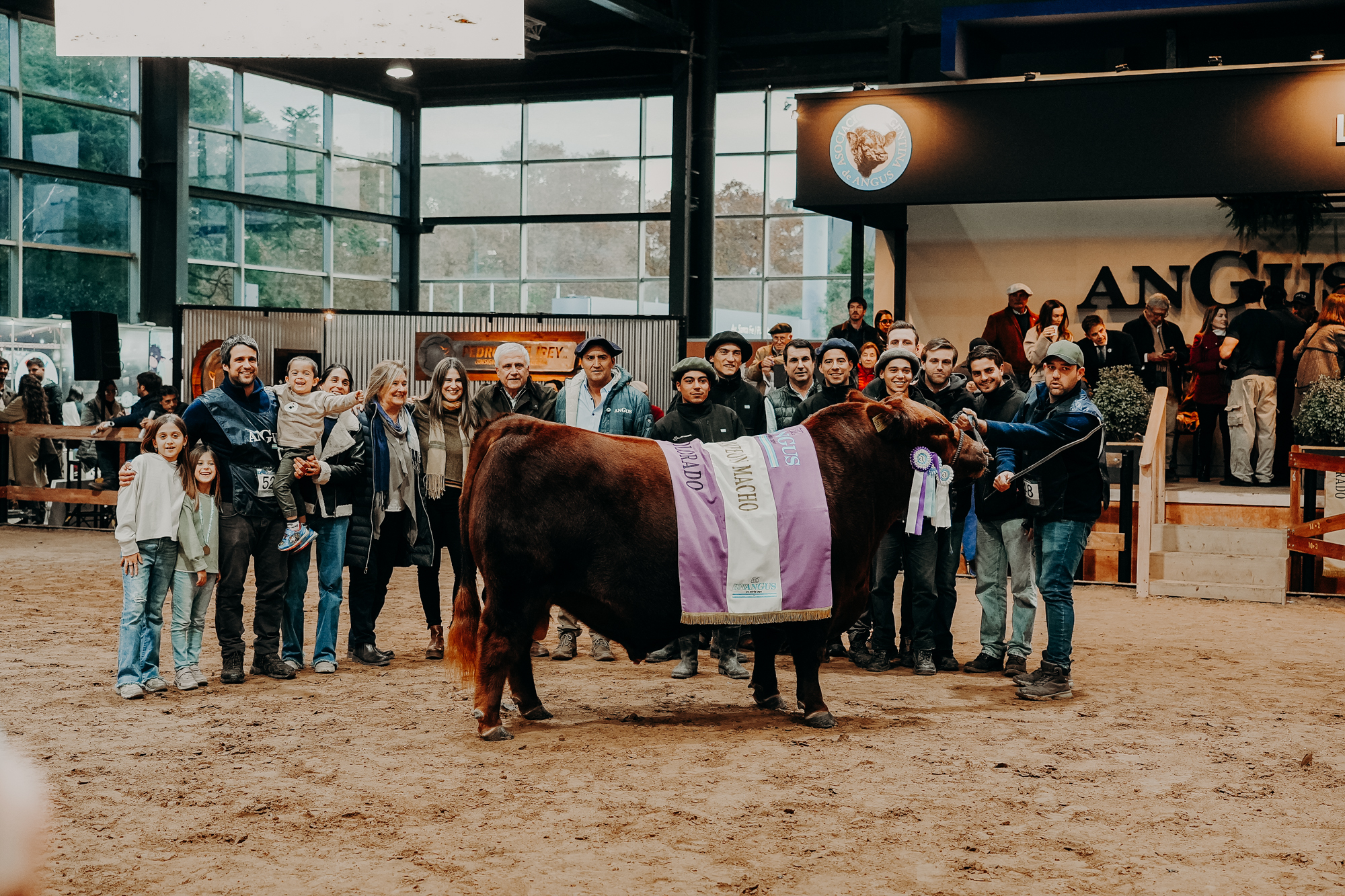 Torniquete histórico: el toro colorado de los $ 132 millones