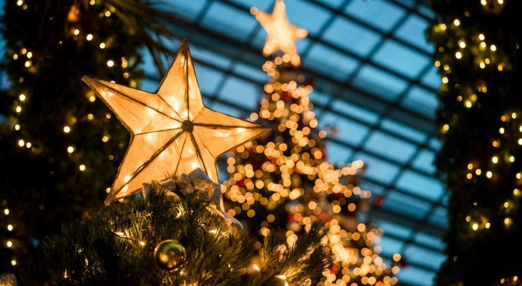 Se encuentran abiertas las inscripciones para los talleres navideños