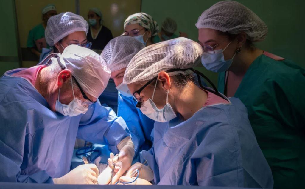 Logran un trasplante de hígado a un niño de 2 años con un órgano de un donante pediátrico a corazón parado