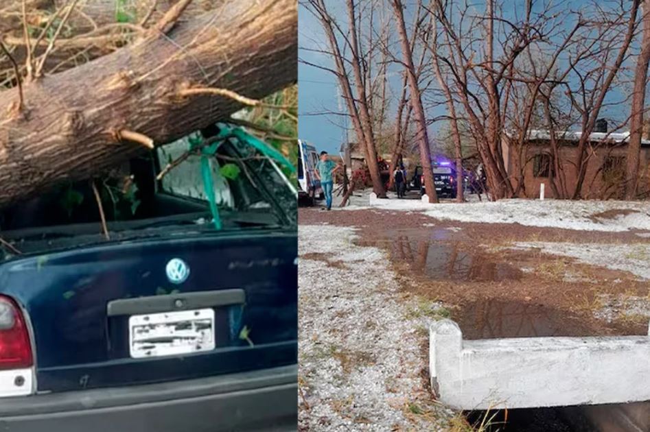 Tormenta fatal en Mendoza: un joven murió aplastado por un árbol al intentar proteger su auto del granizo