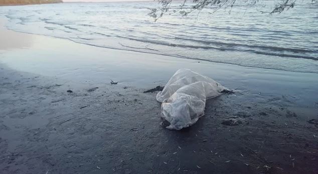 Hallaron a un pescador muerto en la playa de Berisso